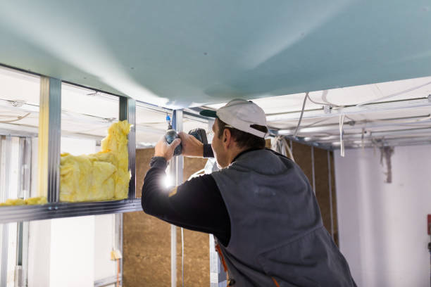 Best DIY Insulation Kits and Guidance in Crane, TX
